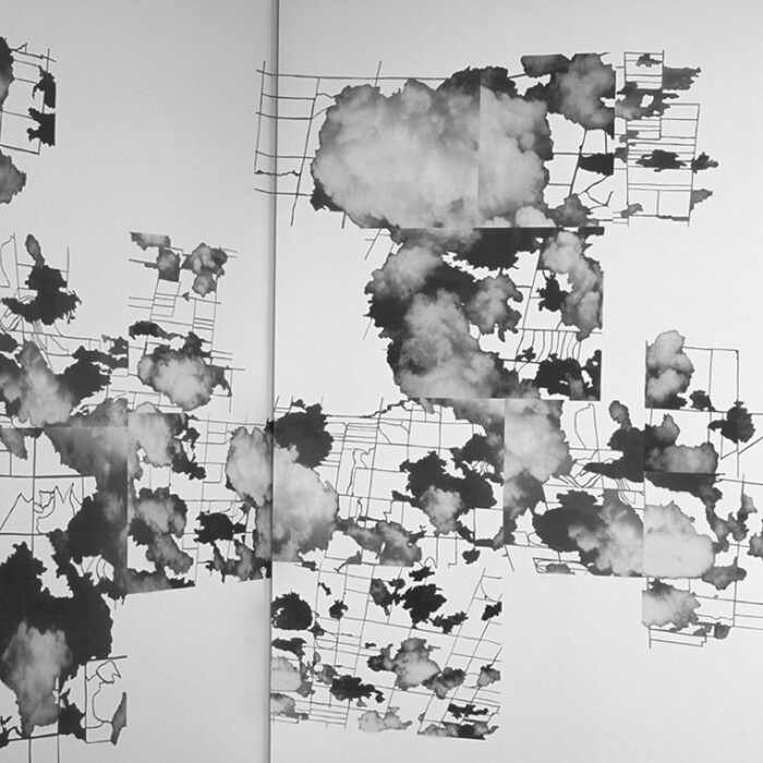 CUT LAND / TERRE TRANCHÉE