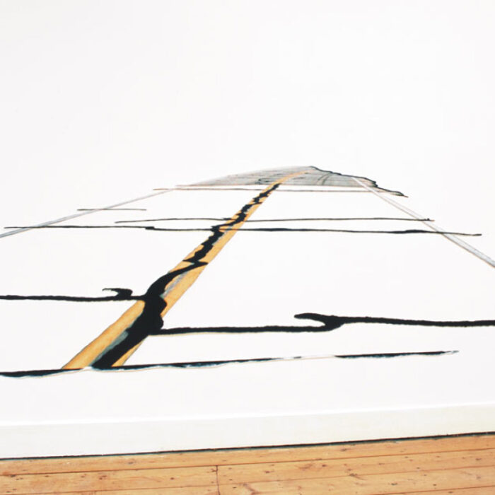 ROADLINES & SITELINES