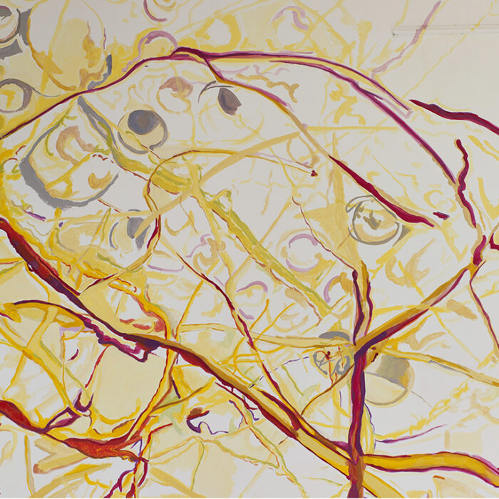 PRODUCERS-PARASITES-HOSTS (ON CHEATING)