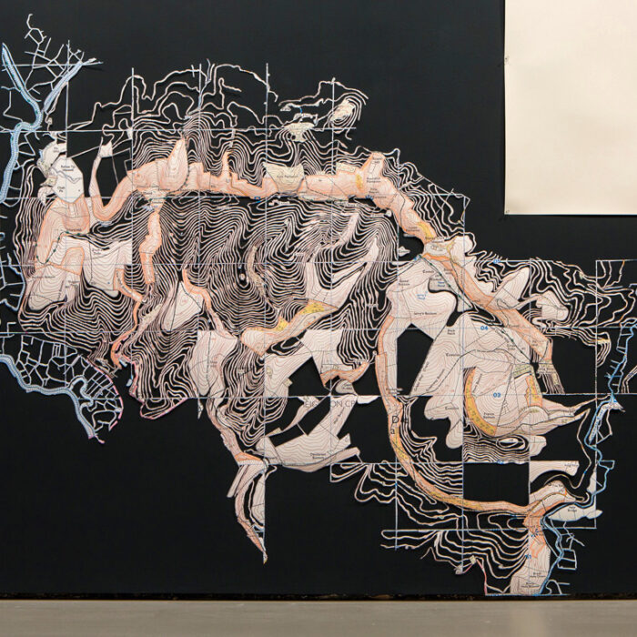 BOURNES, DEANS, BOTTOMS & BROWS (Towner Art Gallery)