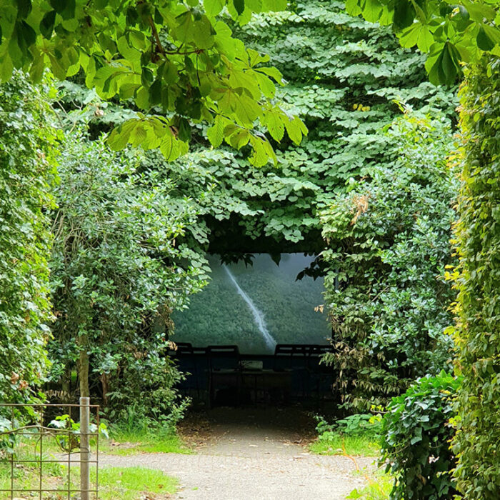 THIS ENTANGLED LAND (film)