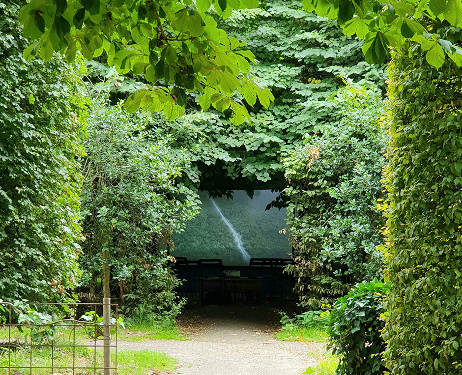 THIS ENTANGLED LAND (film)