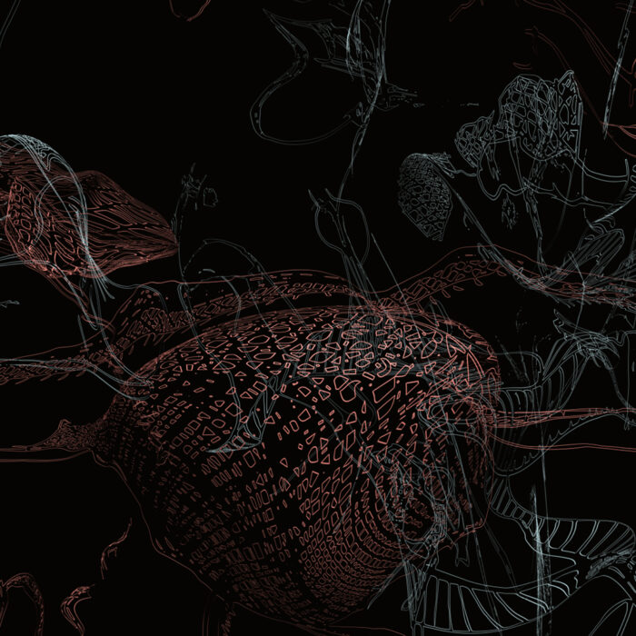 Sitetime – Arbuscular Time & Subterranean Weather